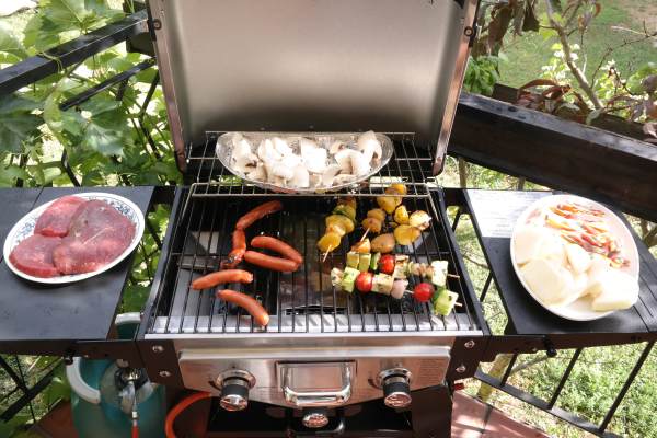 Gemüse und Fleisch am Griller 2