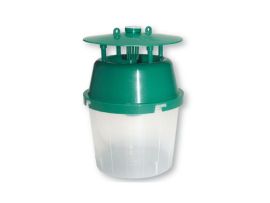 Falle zum Anlocken des Buchsbaumzünsler-Falters Bild