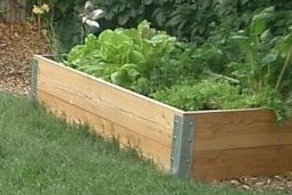 Niederbeet 100 x 200 cm, 34 cm Höhe