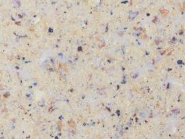 Vogeltränke Material Nahaufnahme