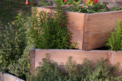 Kräuterpyramide aus Lärchenholz