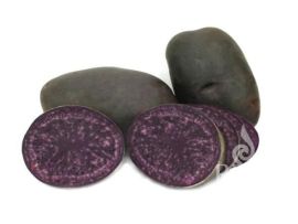 Pflanzkartoffeln 'Blaue Anneliese', 1 kg