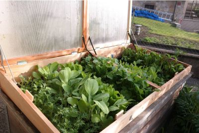 Großer Frühbeetaufsatz